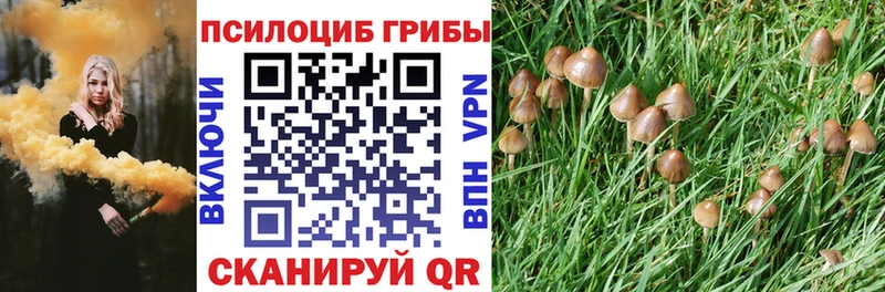 Псилоцибиновые грибы GOLDEN TEACHER  blacksprut ссылки  Коряжма  хочу  