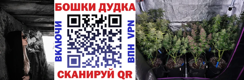 Бошки Шишки Ganja  Коряжма 